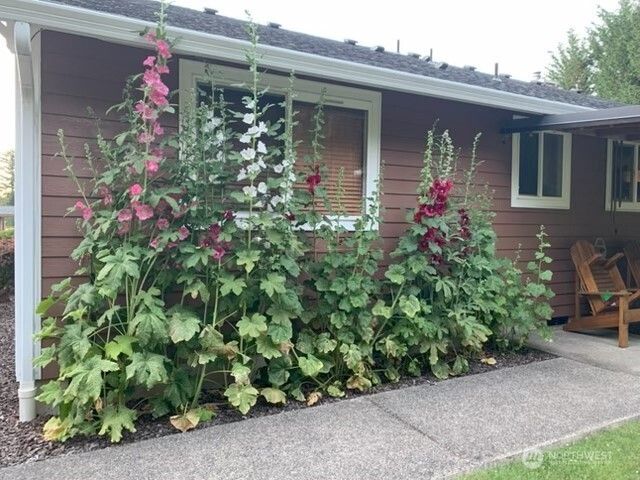 246 27 Walker Road, Toledo, WA 98591