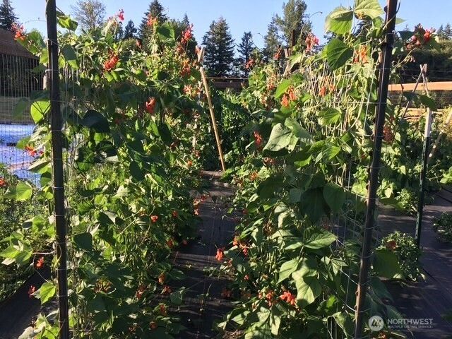 246 27 Walker Road, Toledo, WA 98591