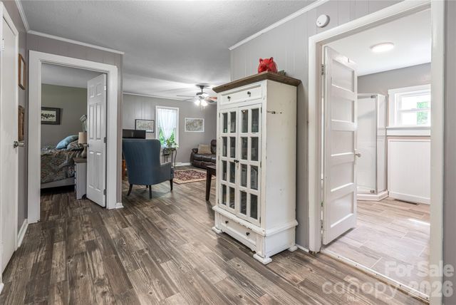 345 Lower Grassy Branch Road, Asheville, NC 28805