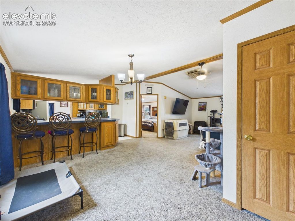 449 N Raynolds Avenue, Canon City, CO 81212 — photo 5