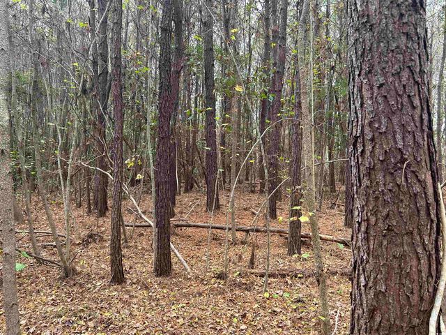 TBD Highway 746, Loris, SC 29569