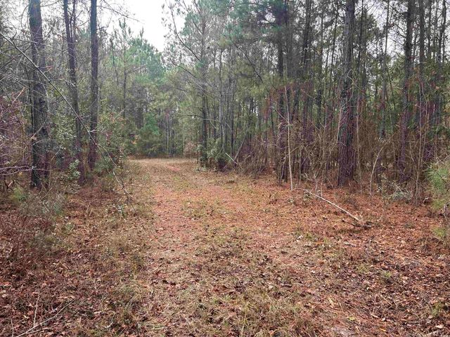 TBD Highway 746, Loris, SC 29569