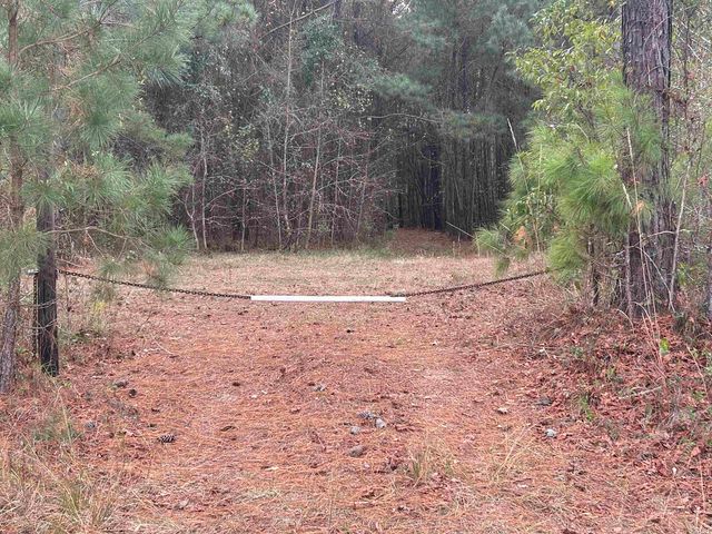 TBD Highway 746, Loris, SC 29569