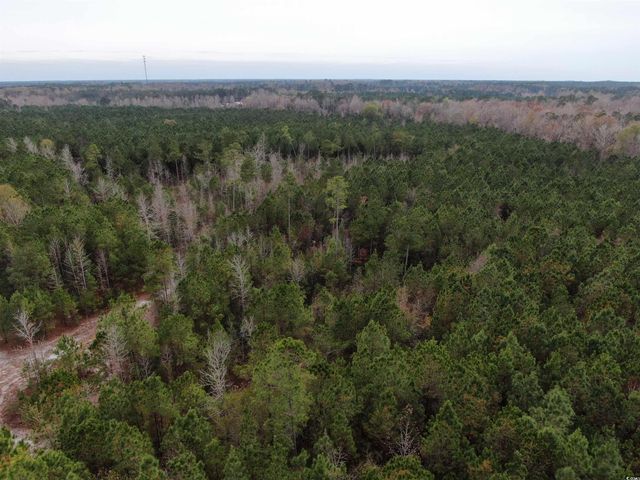 TBD Highway 746, Loris, SC 29569