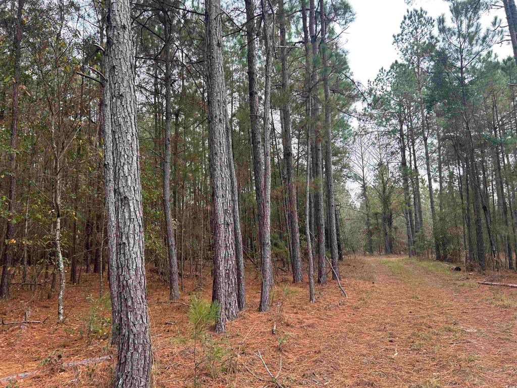TBD Highway 746, Loris, SC 29569