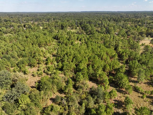 T-1 Highway 19, Huntsville, TX 77320