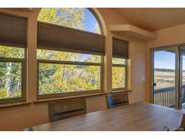 155 Lamb Mountain Rd, Fairplay, CO 80440