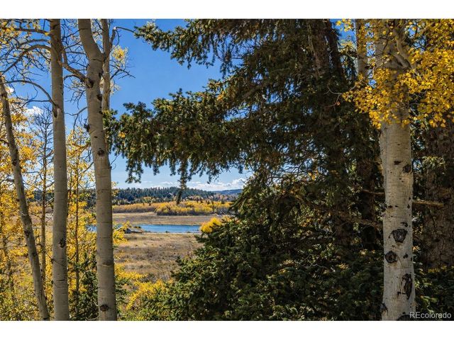 155 Lamb Mountain Rd, Fairplay, CO 80440