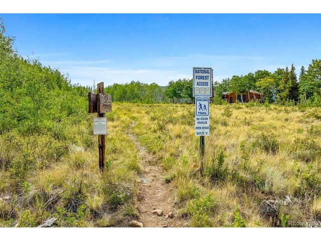 155 Lamb Mountain Rd, Fairplay, CO 80440