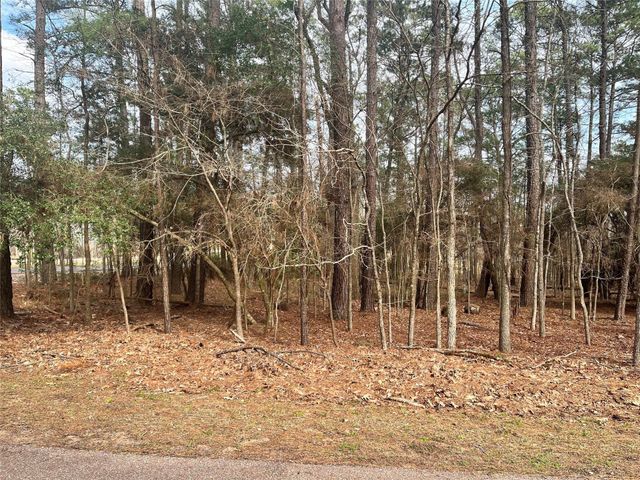 142 S Royale Greens Drive, Coldspring, TX 77331