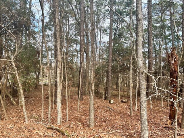 142 S Royale Greens Drive, Coldspring, TX 77331