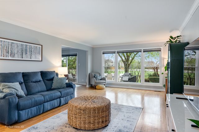 1003 W Hintz Road, Arlington Heights, IL 60004