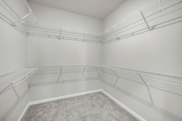 292 Balbriggan Place, Aiken, SC 29801