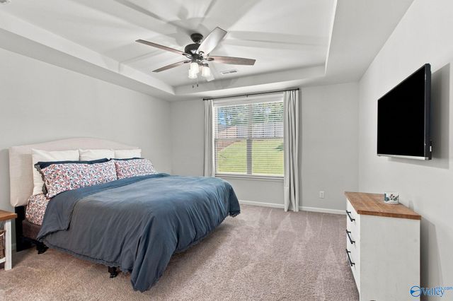 14298 Grey Goose Lane, Harvest, AL 35749