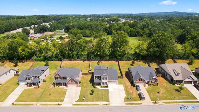 14298 Grey Goose Lane, Harvest, AL 35749
