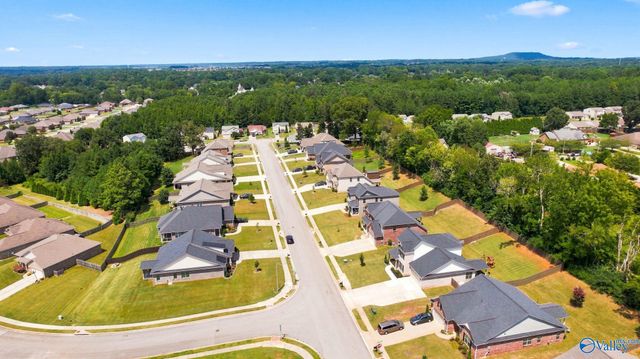 14298 Grey Goose Lane, Harvest, AL 35749