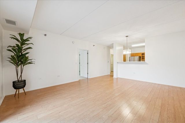 440 W Mahogany Court 203, Palatine, IL 60067