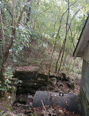 1 Cedar Bluff Road, Lafayette, TN 37083