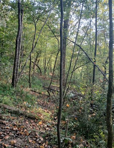 1 Cedar Bluff Road, Lafayette, TN 37083