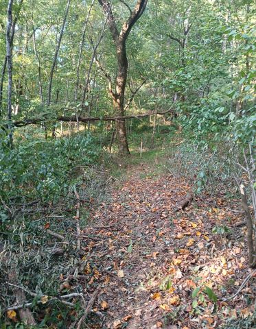 1 Cedar Bluff Road, Lafayette, TN 37083