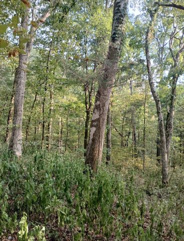 1 Cedar Bluff Road, Lafayette, TN 37083