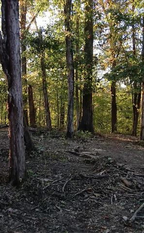 1 Cedar Bluff Road, Lafayette, TN 37083