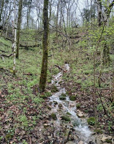 1 Cedar Bluff Road, Lafayette, TN 37083