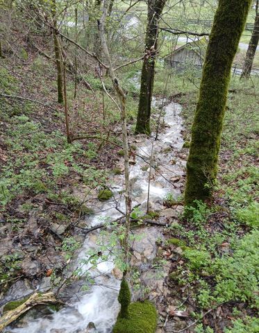 1 Cedar Bluff Road, Lafayette, TN 37083