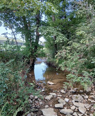 1 Cedar Bluff Road, Lafayette, TN 37083