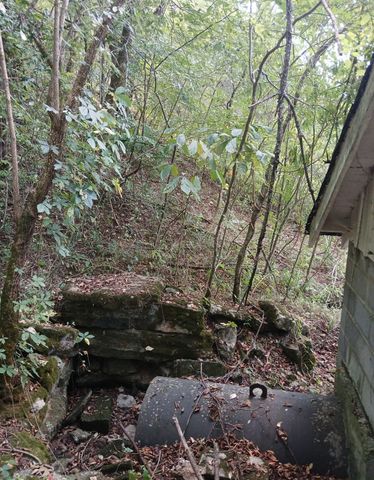 1 Cedar Bluff Road, Lafayette, TN 37083