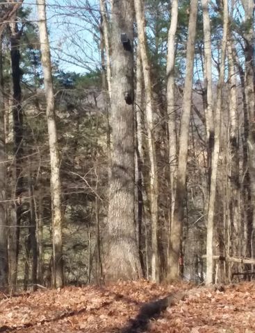 1 Cedar Bluff Road, Lafayette, TN 37083