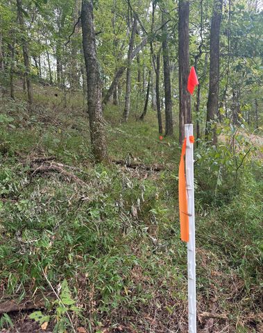 1 Cedar Bluff Road, Lafayette, TN 37083