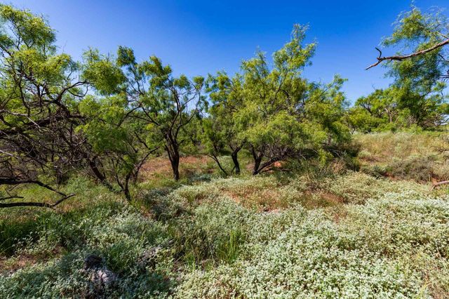 Tract 8 CR 439, Aspermont, TX 79502