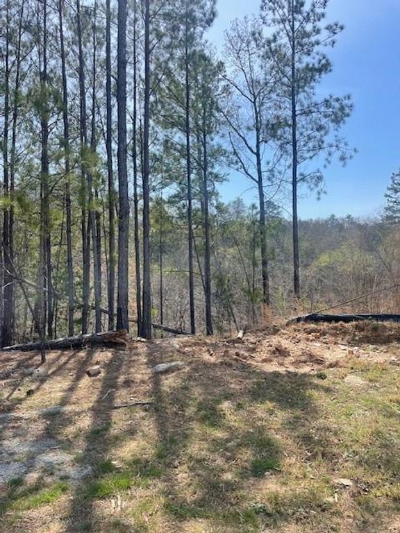 23 Bridgestone SE Way, Cartersville, GA 30120