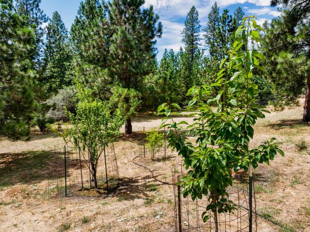 15264 Airport Rd, Nevada City, CA 95959
