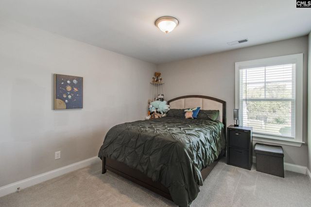 433 Thayer St, Chapin, SC 29036