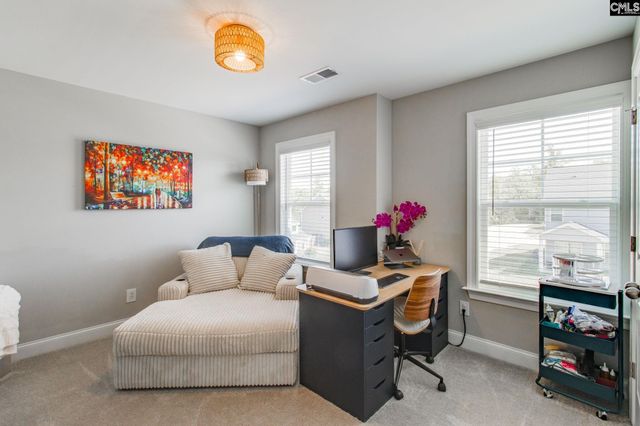 433 Thayer St, Chapin, SC 29036
