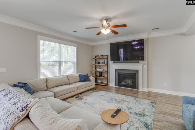 433 Thayer St, Chapin, SC 29036