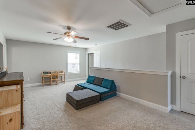 433 Thayer St, Chapin, SC 29036