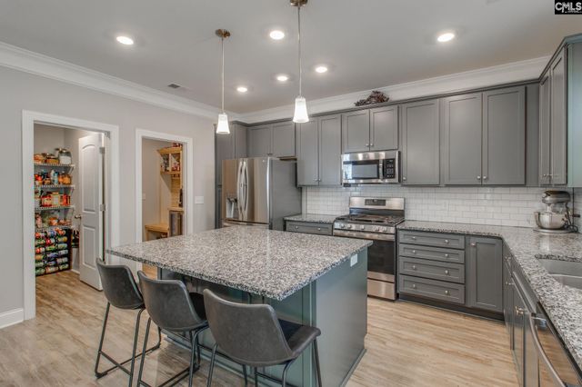 433 Thayer St, Chapin, SC 29036