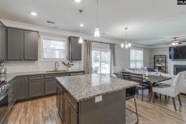 433 Thayer St, Chapin, SC 29036