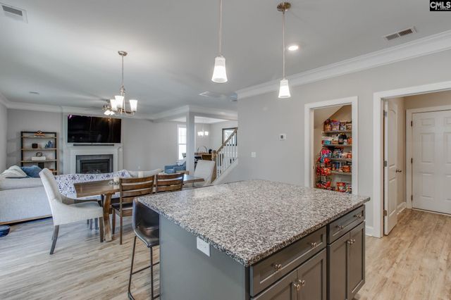 433 Thayer St, Chapin, SC 29036