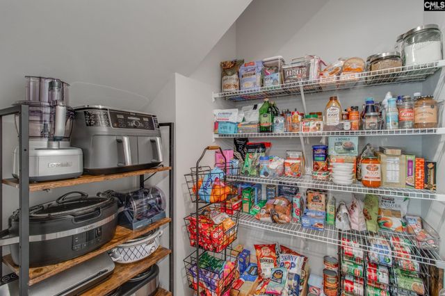433 Thayer St, Chapin, SC 29036