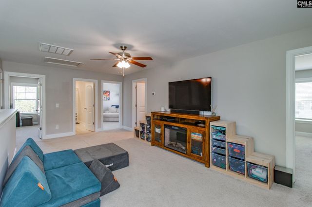 433 Thayer St, Chapin, SC 29036