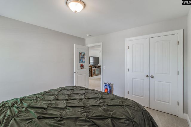433 Thayer St, Chapin, SC 29036