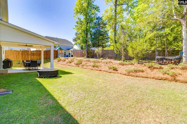 433 Thayer St, Chapin, SC 29036