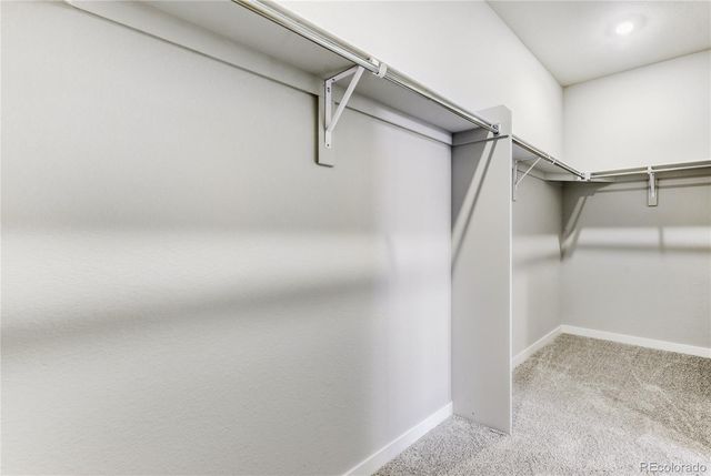13349 Finnhorse Street, Parker, CO 80134