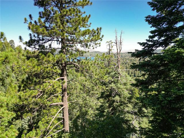 746 Blue Ridge, Lake Arrowhead, CA 92385