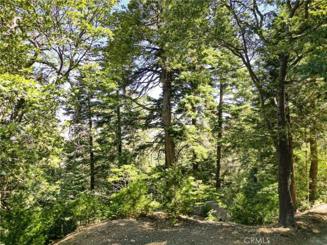 746 Blue Ridge, Lake Arrowhead, CA 92385