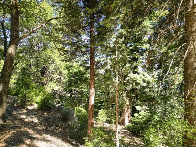 746 Blue Ridge, Lake Arrowhead, CA 92385